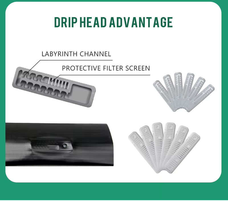 Flat Inlaid Drip Tape Agricultural Crop Irrigation